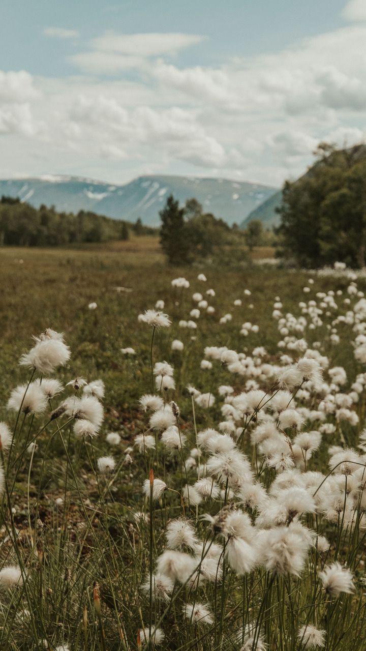 Professional floral arrangement in modern corporate setting